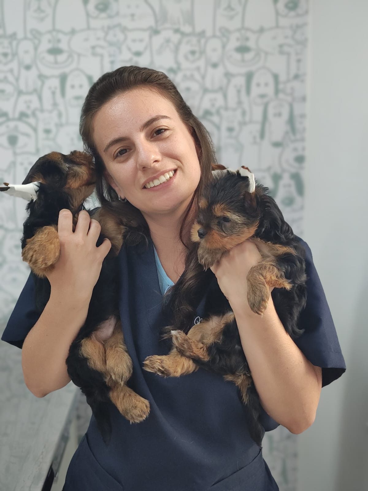 Consulta de rotina no HOVET Tijuca